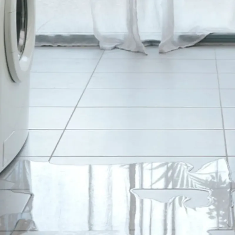 Appliance Leak Cleanup in Placid Lakes, FL